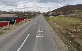 Vanzare Teren - Comuna Beresti-Tazlau, sat Bosoteni - Poză 4