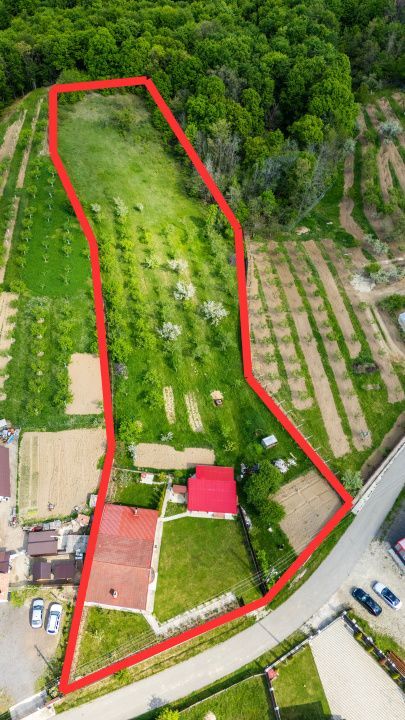 Casa cu teren generos si gradina spectaculoasa – Comuna Cuca, Arges! - Poză 2