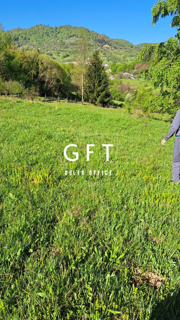 Teren extravilan de vanzare, Bistrita Bargaului- 10 minute de Colibita - Poză 7