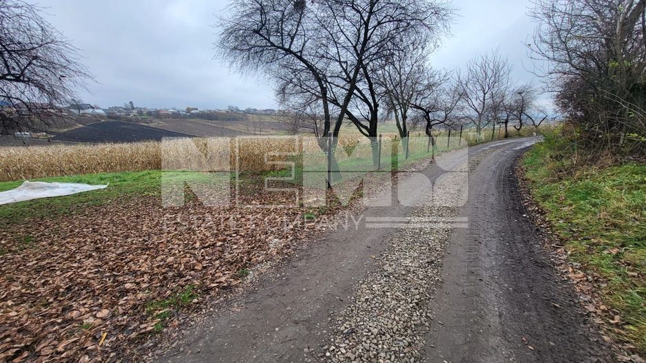 TEREN MOARA I SUCEAVA I LOC DE CASA I 20Ari I 60,000Euro - Poză 5