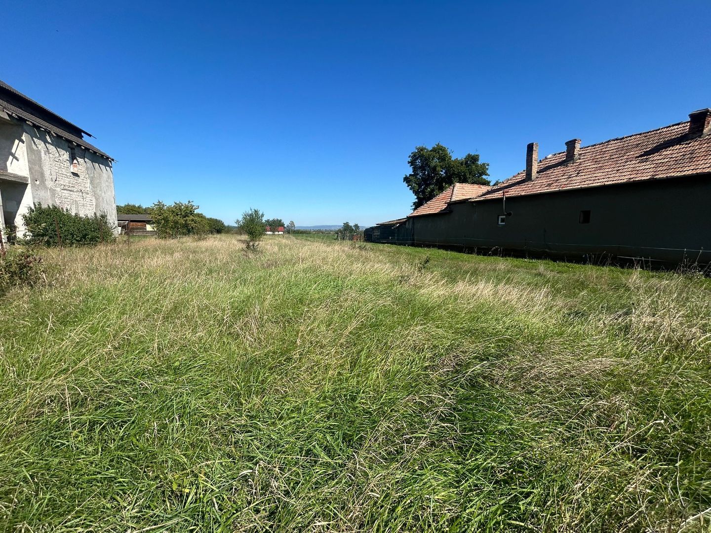 Teren intravilan, 5700mp - Teius - Poză 5