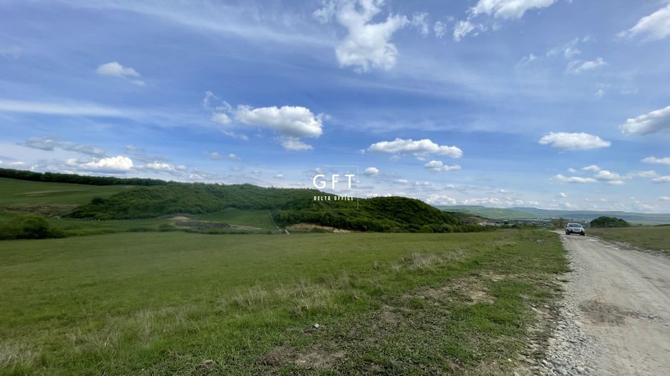 Teren extravilan 10000 mp, Jelna. - Poză 13