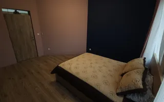 Vila individuala la 30 km de Timișoara - Poză 21