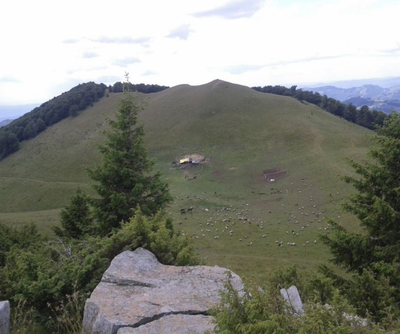 Teren extravilan pasune 270.000 mp Bertea Prahova - Poză 1