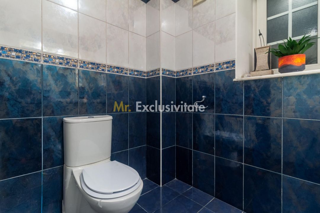 Vila  Iancu Nicolae, cartier exclusivist - Poză 25