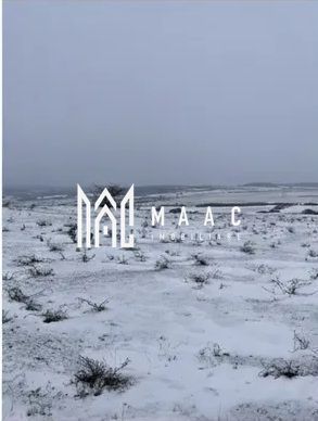 Teren Extravilan I 2.000 MP I Daia (Dealul 2), Comuna Roșia, Sibiu - Poză 1