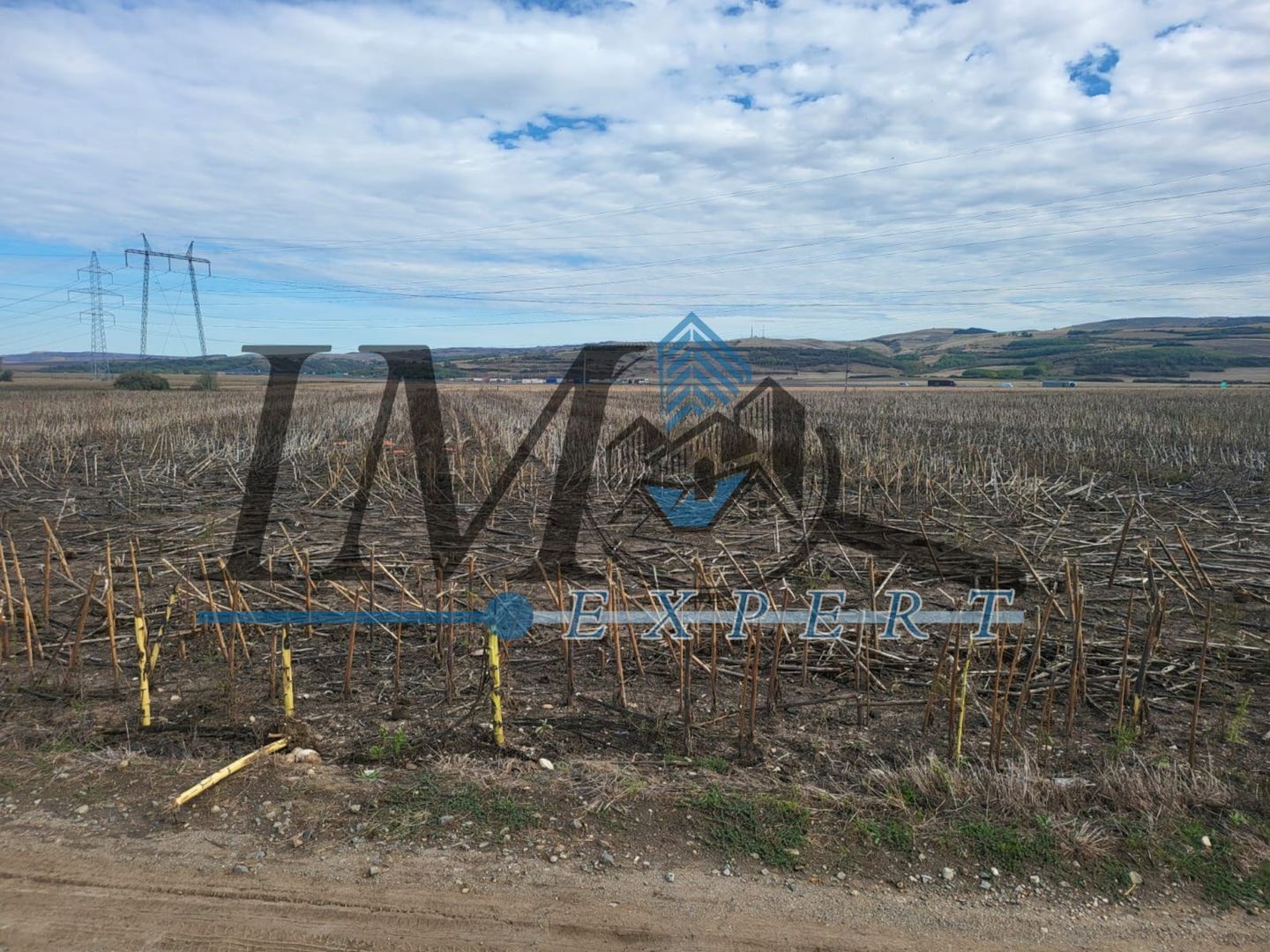 Vand teren in Oarda judetul Alba - Poză 3