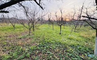 Casa Diosig + Cinematograf si teren - Poză 13