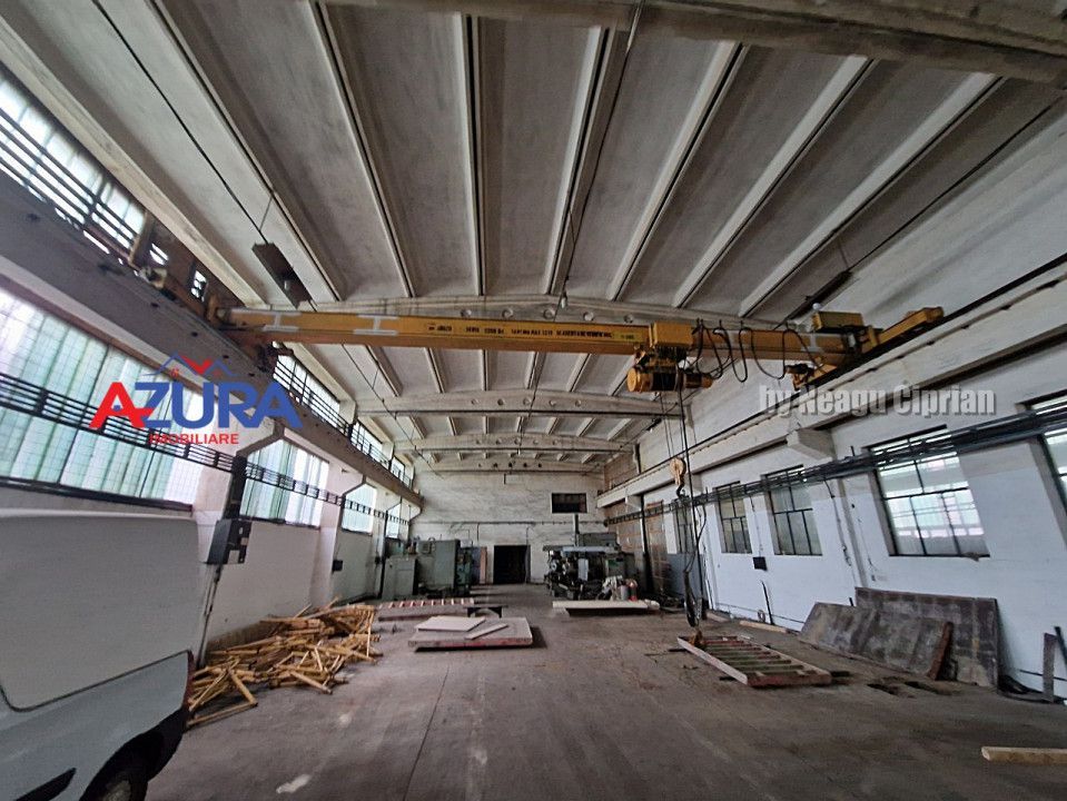 Hala Pitesti cu Pod Rulant, acces TIR - Poză 4