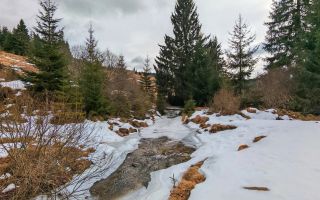 7.858 mp Teren Rar cu Pârâu și Izvoare, Beliș-Fântânele, Cluj - Poză 3