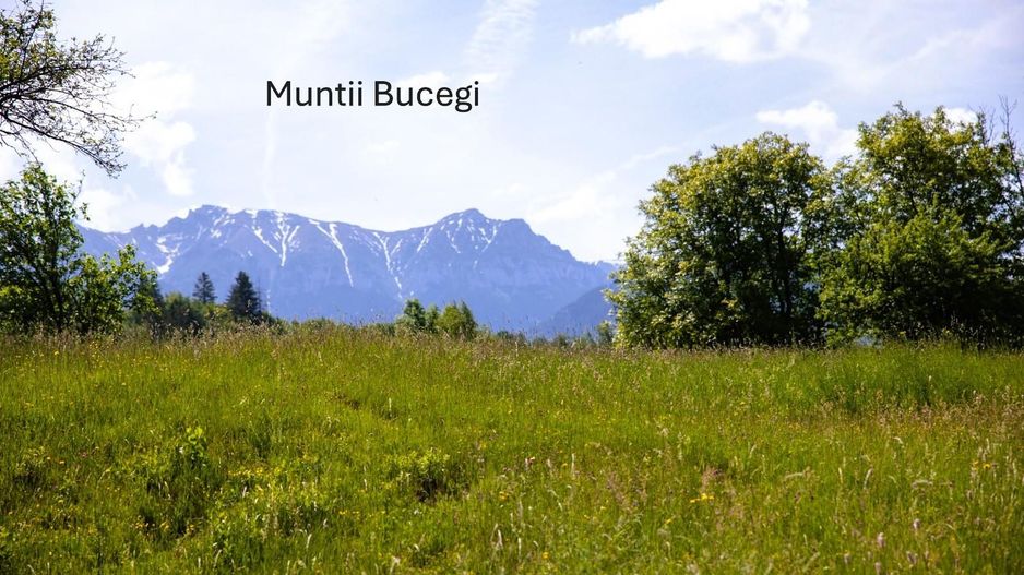 Teren intravilan plat in Bran, 1000 mp, vedere către Bucegi, utilitati - Poză 3