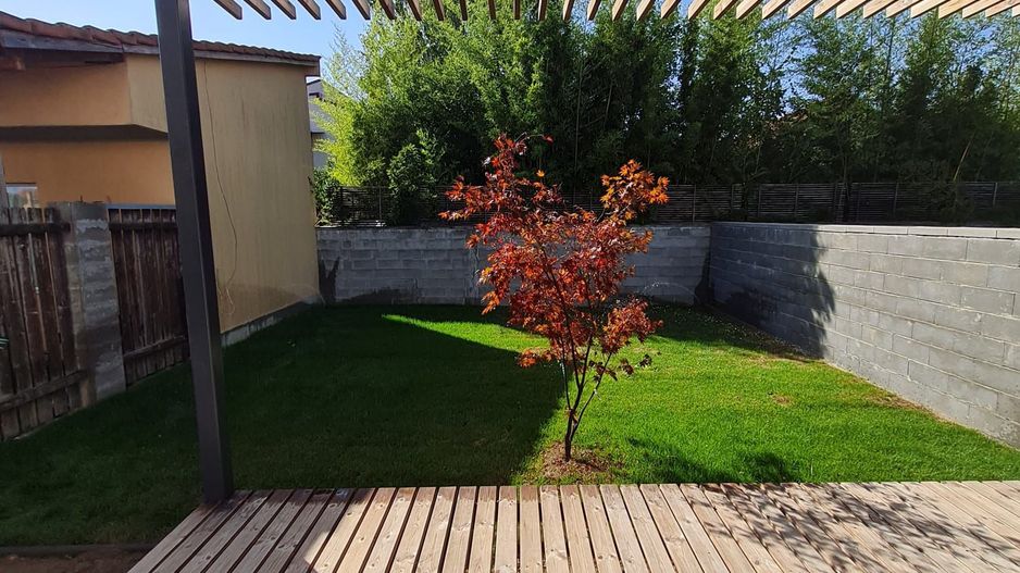 Minimalist în Timișoara - Poză 4