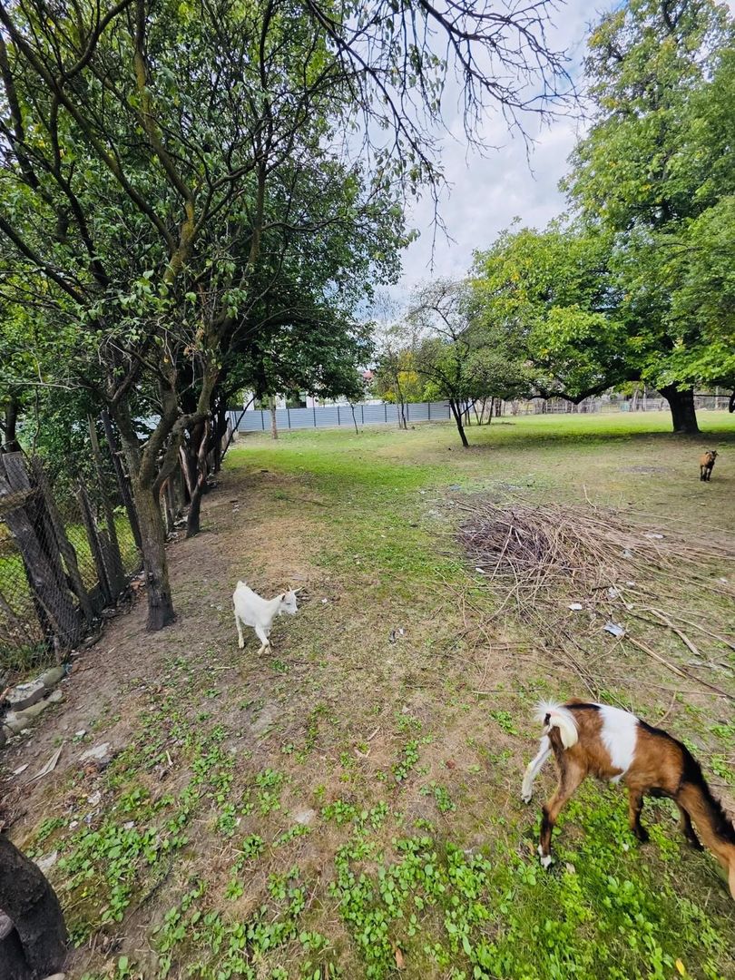 Casa cu teren intravilan 2.273 mp- pozitie centrala Darmanesti Bacau - Poză 8