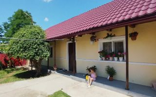 Casă de vânzare, zona Al. I. Cuza, Iași - Poză 3