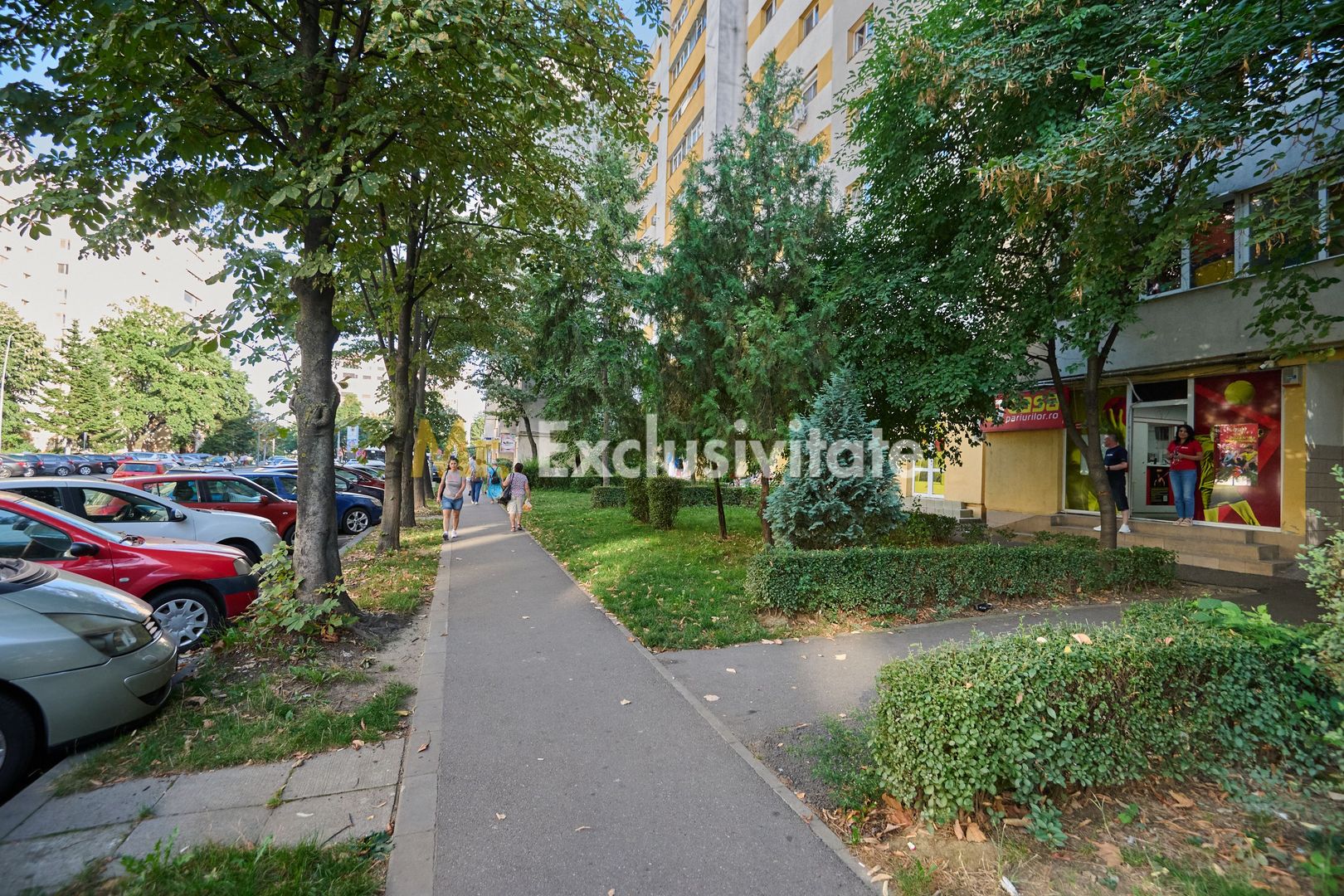 Spațiu Comercial Stradal Open Space | Trafic Intens | Vizibilitate Mar - Poză 9
