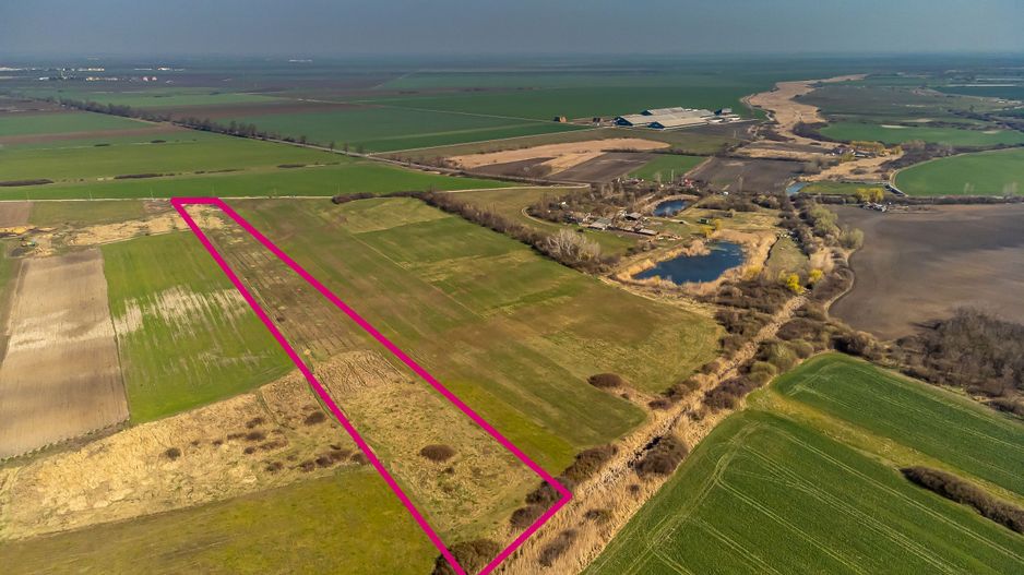 Teren Agricol Extravilan 14300 mp - Poză 5