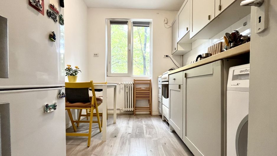 Apartament cu 2 camere, vedere la parc, în zona Central-Piata Unirii - Poză 12