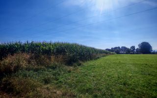 Teren generos | 45 Ari | Utilități în zonă | Deschidere la drum - Poză 3