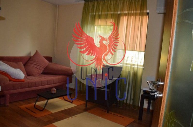 Super pret - Vila P+E+M, Lapus-Arges - Poză 11