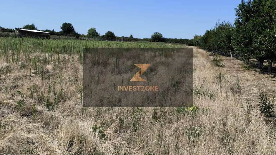 Teren intravilan Biharia 11058 mp - Poză 3