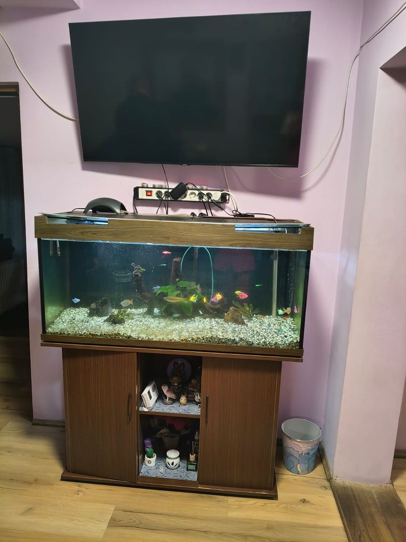 Casa in cartierul Nufarul - Poză 4