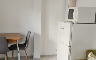Apartament 1 camera de inchiriat, zona Pasaj Octav Bancila, Alexandru cel Bun - Poză 4