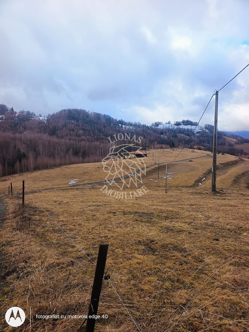 COMISION 0 TEREN TURISTIC EXTRAVILAN APROAPE DE PADURE VISAGU VLADEASA CLUJ - Poză 2