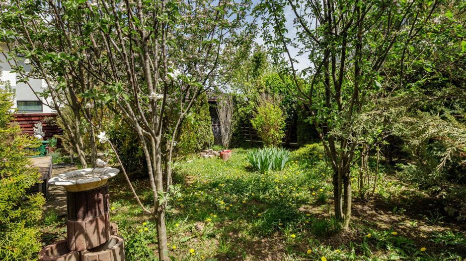 Vila spațioasă și elegantă, aproape de pădure – Tunari, Ilfov - Poză 13