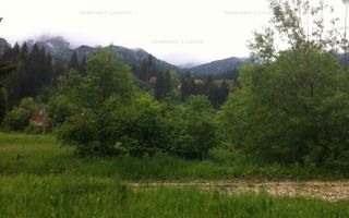 Teren intravilan Cotul Donului,pretabil Hotel/pensiune. - Poză 3