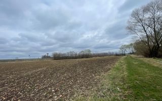 TEREN INTRAVILAN | 50 ARI | ZONA PERIFERICA RADAUTI - Poză 5