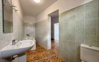 Oportunitate | Vila individuala | Curte | Tei - Poză 19