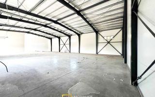 Hala industriala noua de inchiriat – 700 mp | Arad Micalaca Est - Poză 7