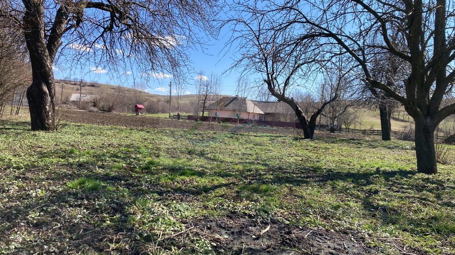 Teren Intravilan 3200 mp de vânzare - Poză 15