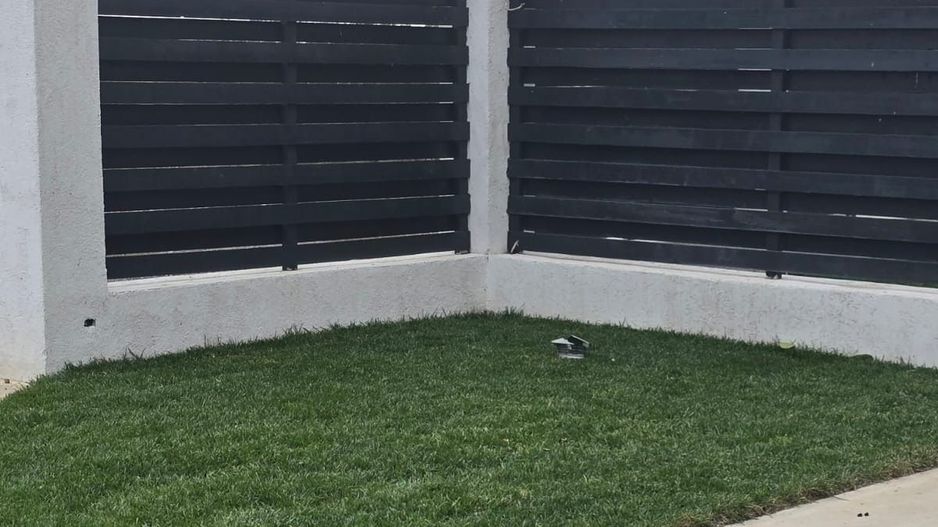 Vilă elegantă în Popești Leordeni I 5 camere - Poză 2