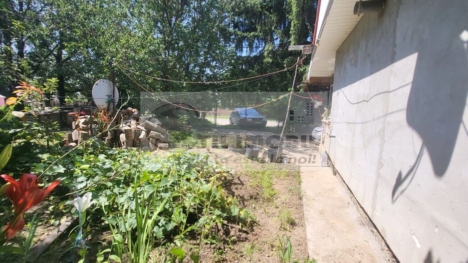 Casă individuala 4000mp teren com Alexandru Ioan Cuza sat Kogalniceni - Poză 22