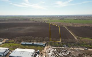 Teren extravilan in zona industriala dezvoltata | Dumbravita - Giarmata - Poză 3