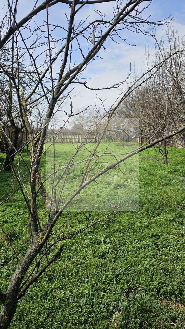 Teren intravilan 2619 mp cu 2 case  - Ciocanesti Jud. Dambovita - Poză 4