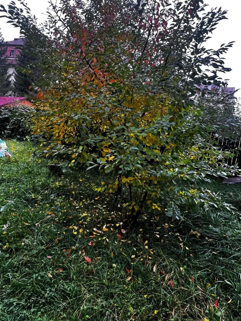 Casă complet renovată, pentru locuință sau pensiune turistică! - Poză 23