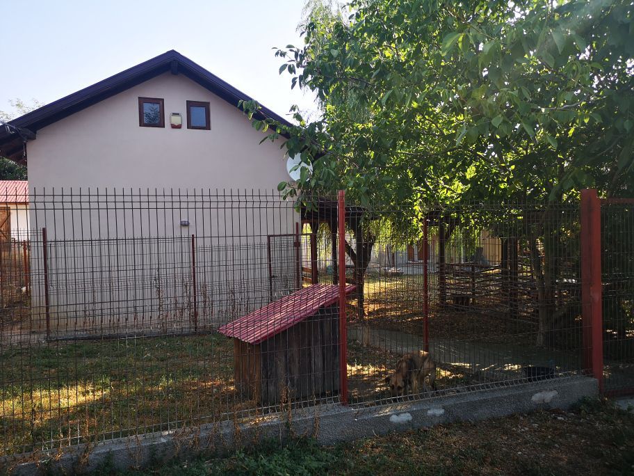 Casa mixta Urziceanca - Poză 5