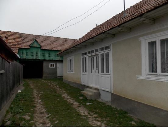 casa Lapos Darmanesti - Poză 6