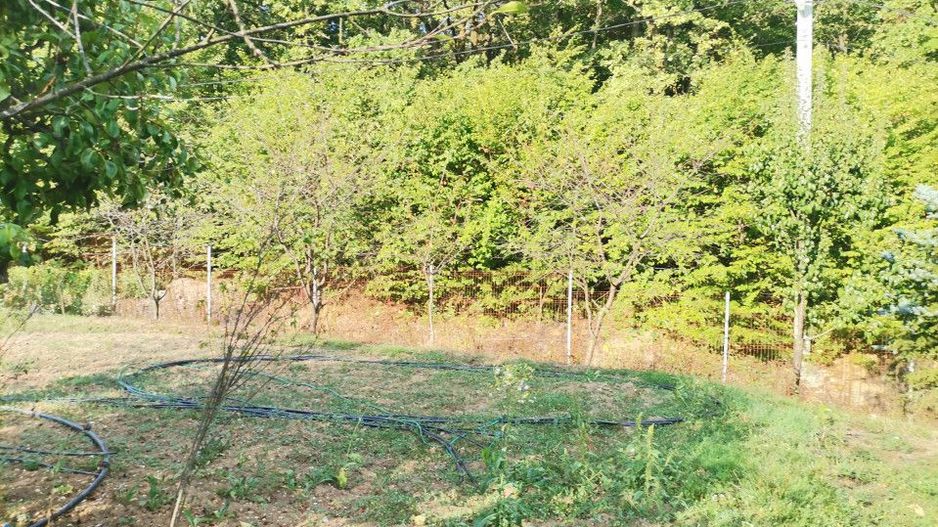 Vanzare teren intravilan Pitesti, strada Zamfiresti - Poză 8