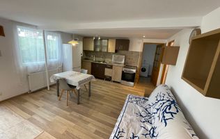 Casa de 3 camere, 50 mp, 30 mp terasa, Zona Sangeorgiu de Mures