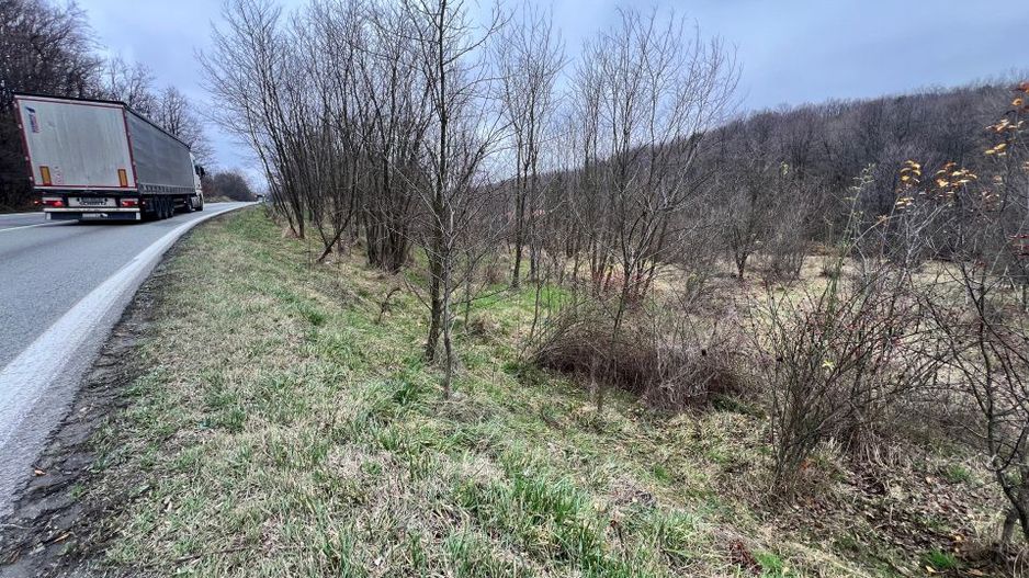 Teren intravilan 6.500 m²–Deschidere 144 ml drum european E81, km 35, Morăresti - Poză 2