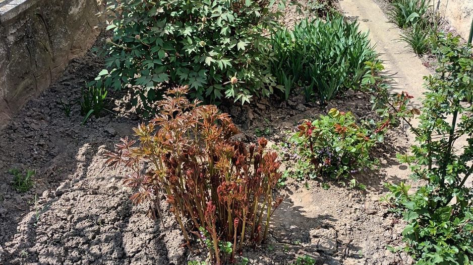 Casa de vanzare in localitatea Balc - Poză 2