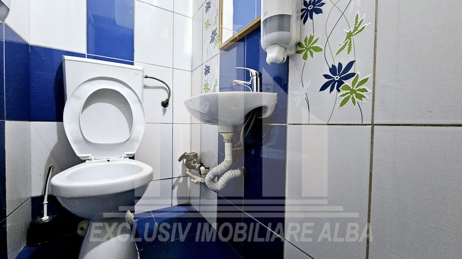 Spatiu comercial de inchiriat, Cetate - Poză 7