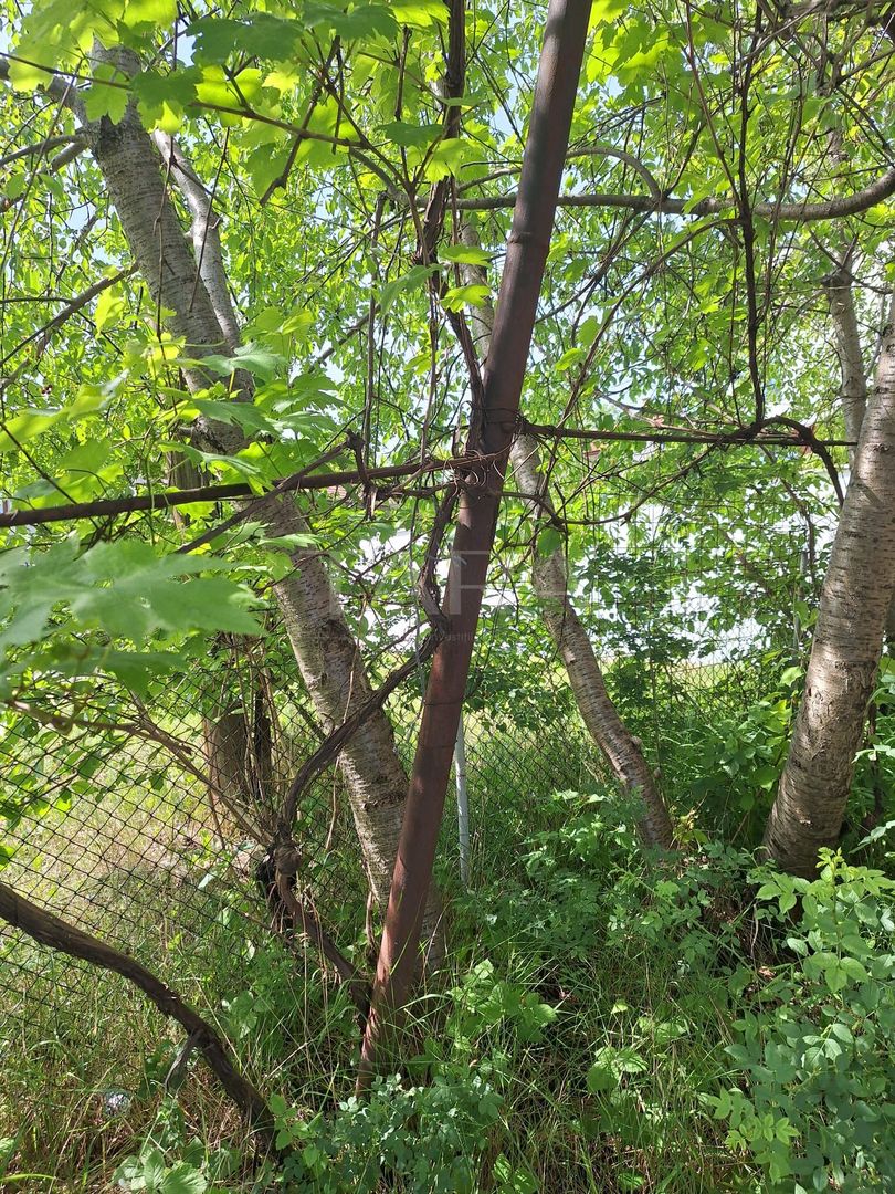 Casă cu 3 camere și teren generos, în Andrei Mureșanu - Poză 5