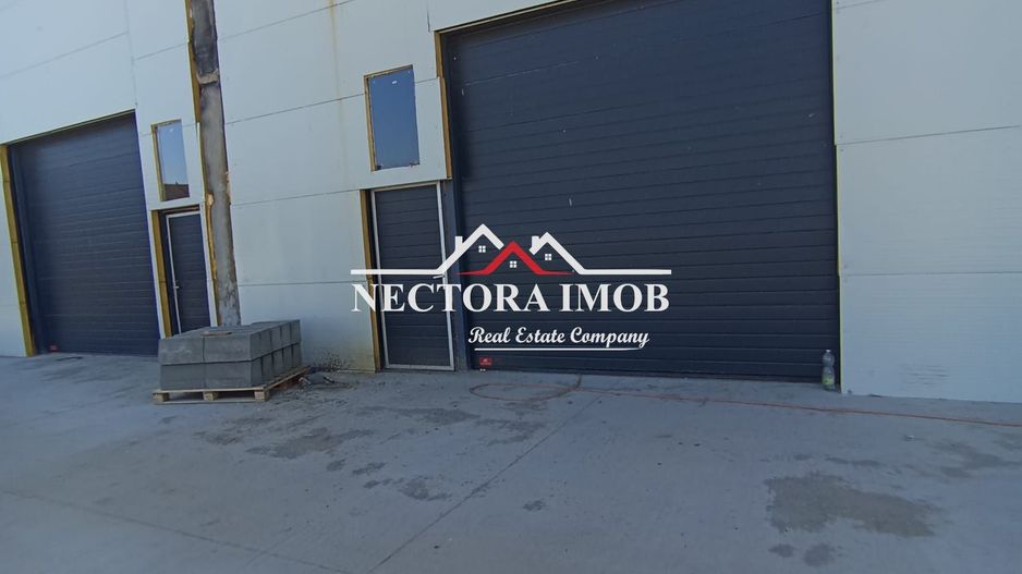 NECTORA IMOB-4 hale industriale noi, Zona Livada de Bihor, Curte mare - Poză 9