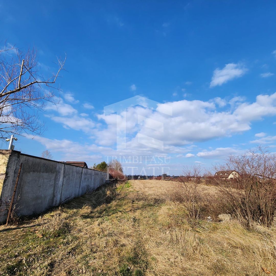 Teren cu deschidere lac Snagov Vladiceasca - Poză 9