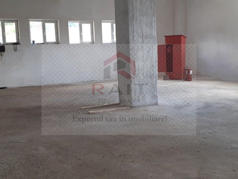 Hala de Inchiriat Godeni Arges - Poză 18