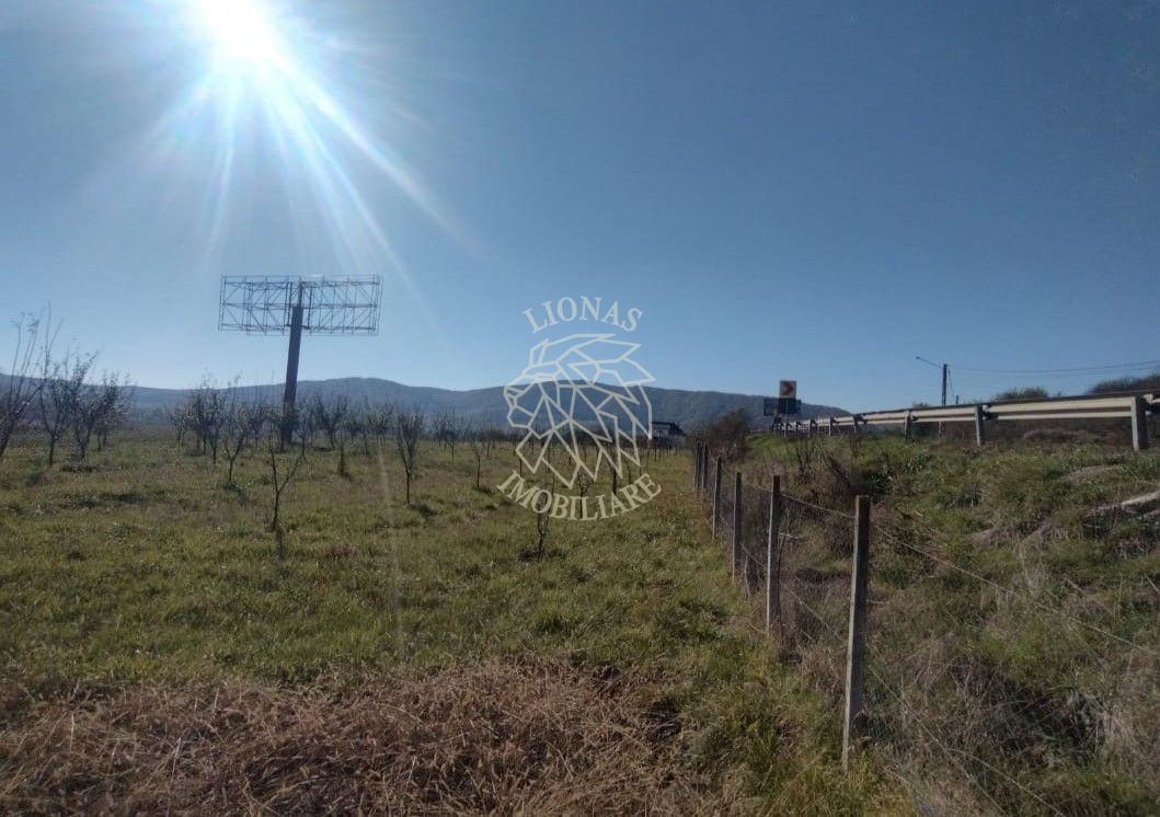Teren intravilan 1,23 Ha la DN17 cu utilitati-livada-Crainimat - Poză 3